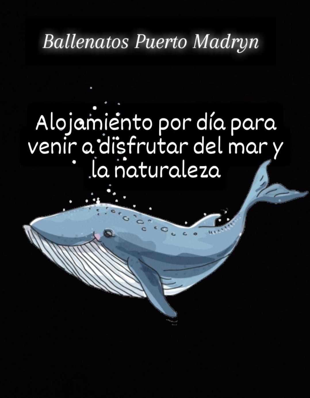 Ballenatos Madryn Puerto Madryn Extérieur photo